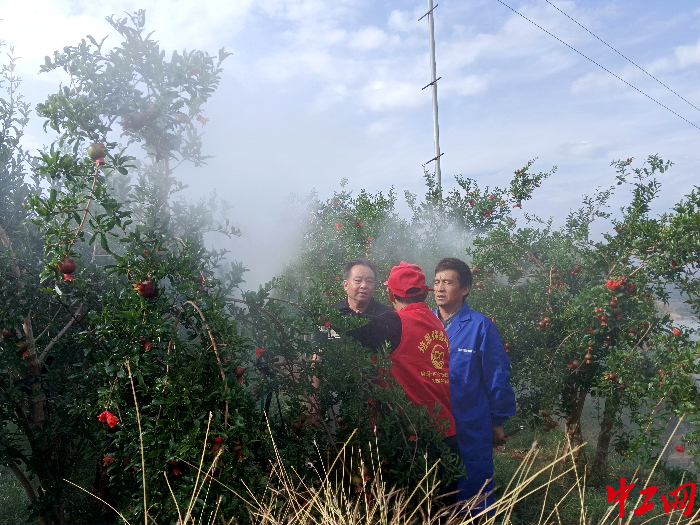 微信图片_20240507103516 微信图片_20240507103516