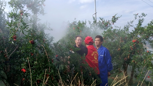 丽江市永胜县总工会为果树种植户开展技能培训