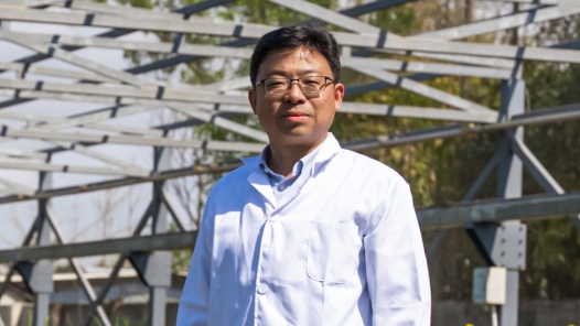 第五届“科苑名匠”｜蒋海波：以精微技术捕捉根系全生命周期 于细微之处成就增产抗逆固碳