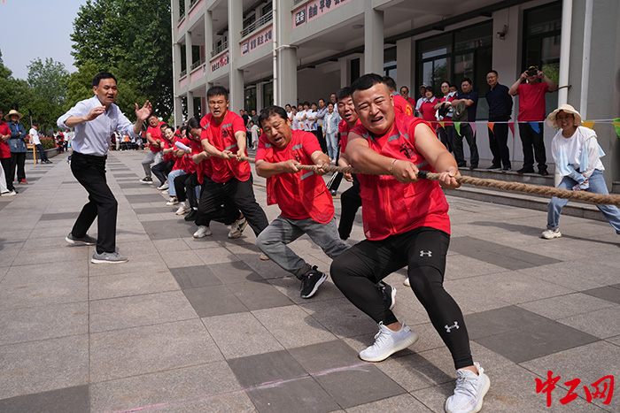 图片1