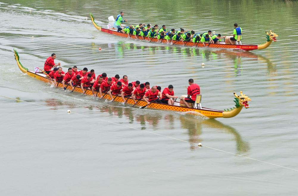 迎端午赛龙舟一共有几个人 1959576_4096x10000.jpeg
