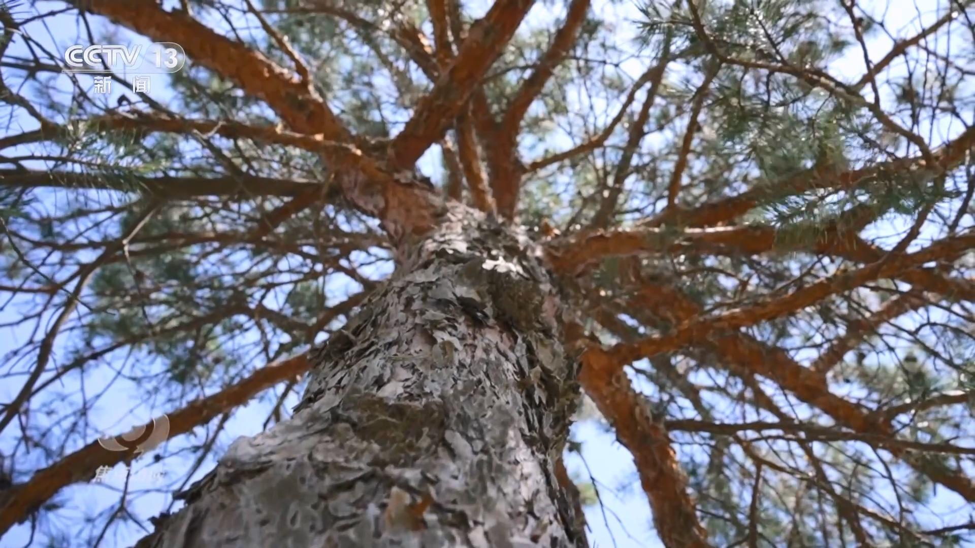 攻坚"三北"进行时