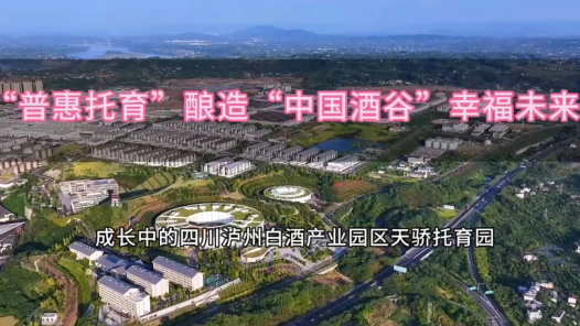 爱心托育｜探索推进“园企校地”共建共营的工业园区办托之路