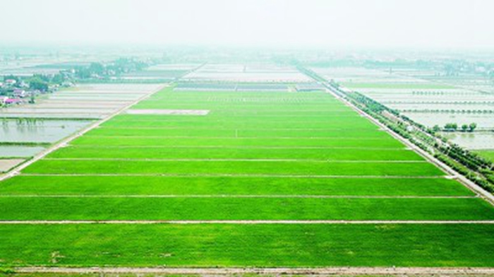 res0603_attpic_brief