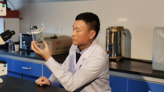 聂守军：攥紧种子硬“稻”理 躬耕黑土守粮安