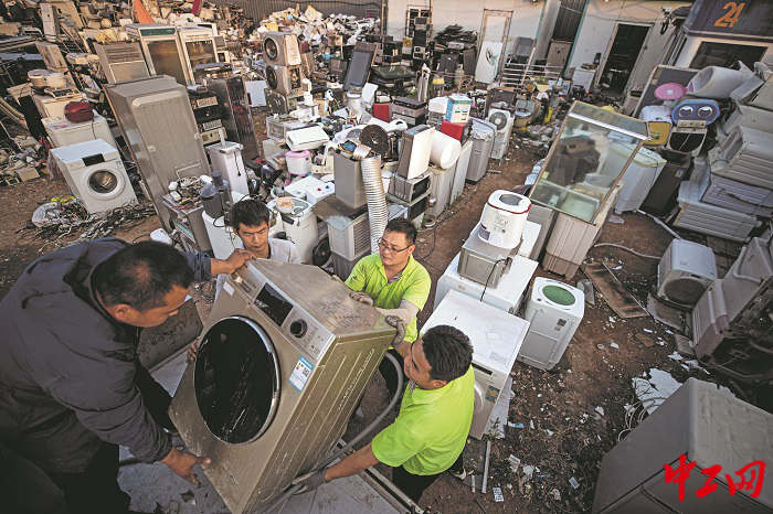 2584144_tpzz_1720765795537_b 2584144_tpzz_1720765795537_b