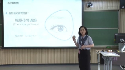 视觉传导通路与瞳孔对光反射通路