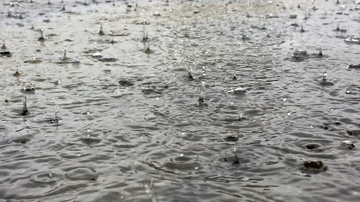 沈阳提升城市防汛应急响应级别至二级 停课1天