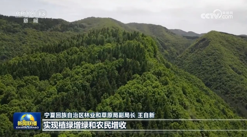 20240726_084240_002 20240726_084240_002