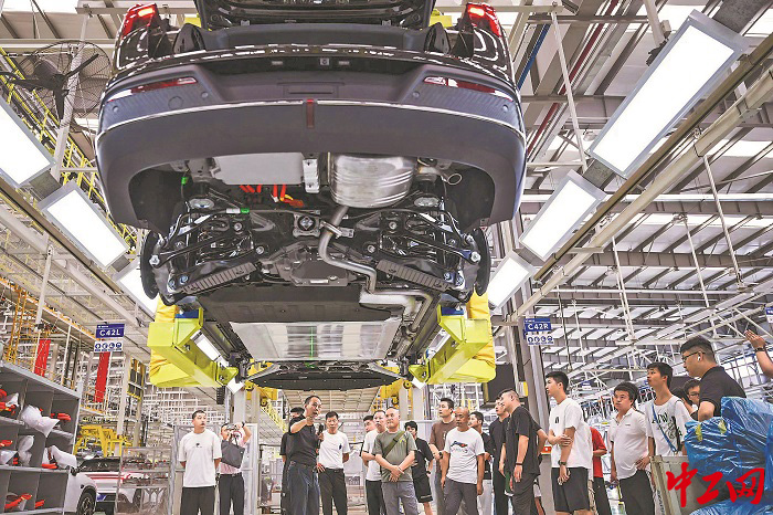 2605643_tpzz_1722183230336_b 2605643_tpzz_1722183230336_b