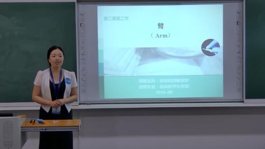 医用局部解刨学-臂
