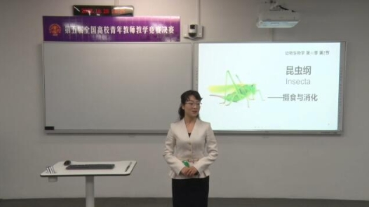 昆虫纲摄食与消化