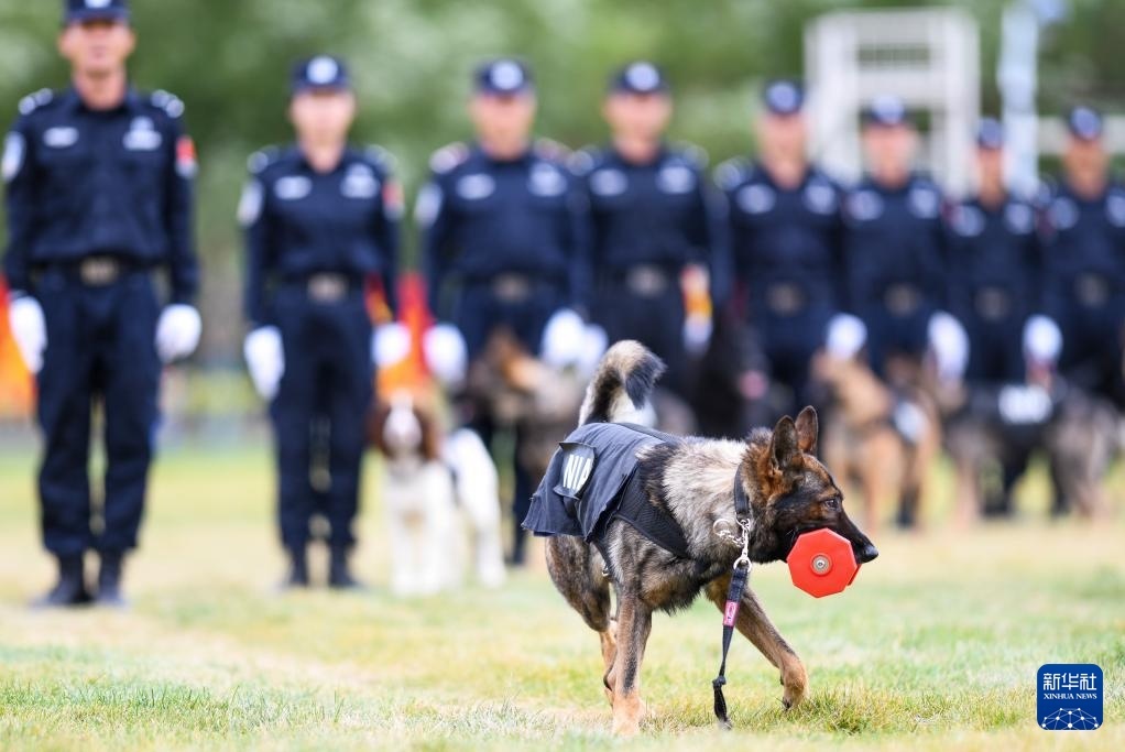 怎么才能当警犬训导员 2075558_4096x10000.jpeg