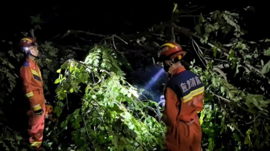 台风天，海南琼中消防排除险情