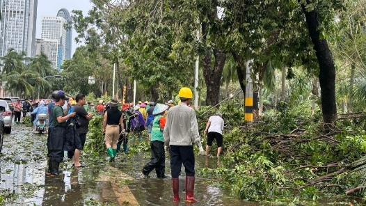 “让这座城市尽快恢复如初”——海口市台风后救灾见闻
