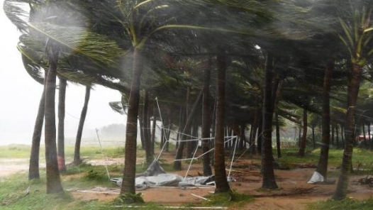 海南全力以赴开展灾后恢复重建