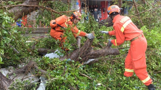 通路、通电、通网——广东湛江灾后救援抢修工作高效推进