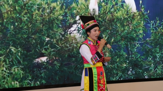 云南省保山市2024年导游（讲解员）技能竞赛圆满落幕