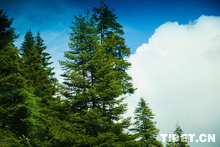 202410121728698225949_0 202410121728698225949_0