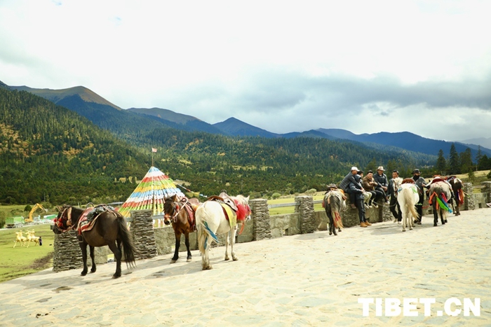 202410121728698224271_0 202410121728698224271_0