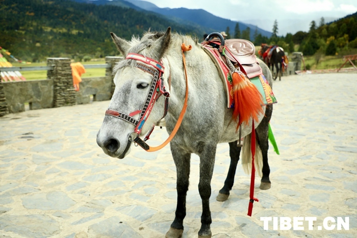 202410121728698222496_0 202410121728698222496_0