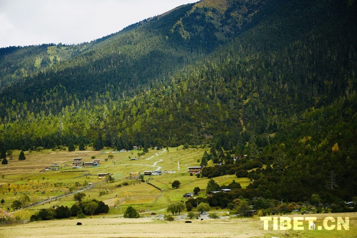 202410121728698220730_0 202410121728698220730_0