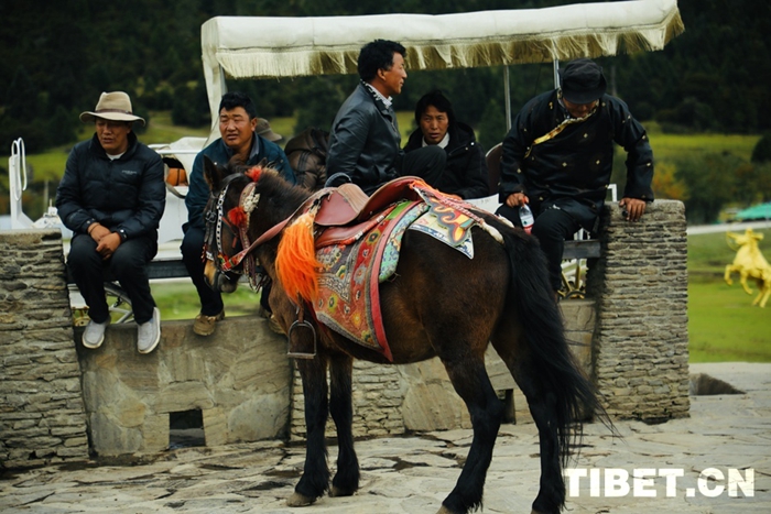 202410121728698219063_0 202410121728698219063_0