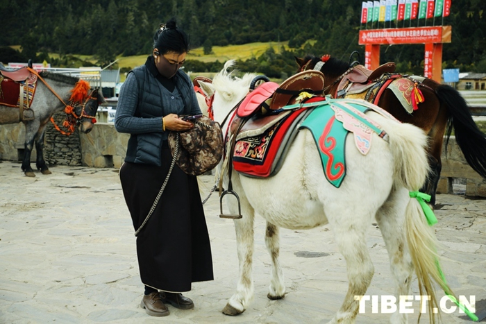 202410121728698217296_0 202410121728698217296_0