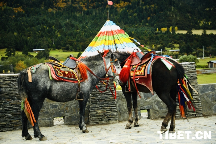 202410121728698215503_0 202410121728698215503_0