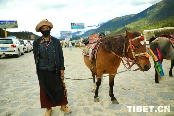 202410121728698213714_0 202410121728698213714_0