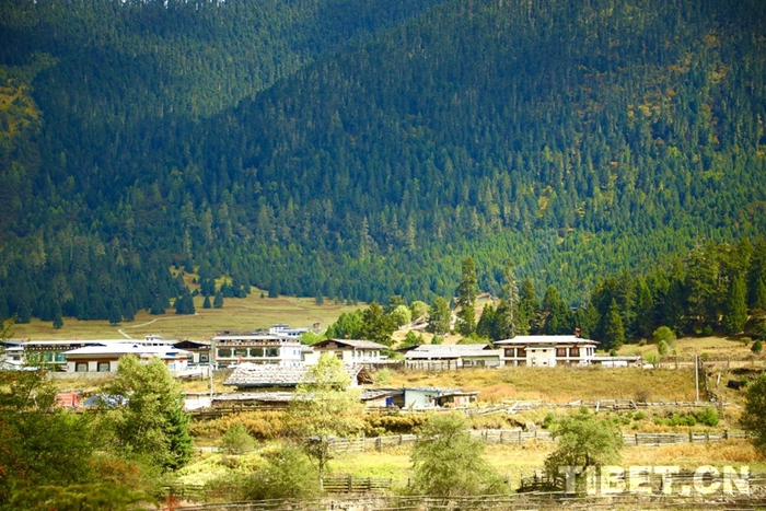 202410121728698211964_0 202410121728698211964_0