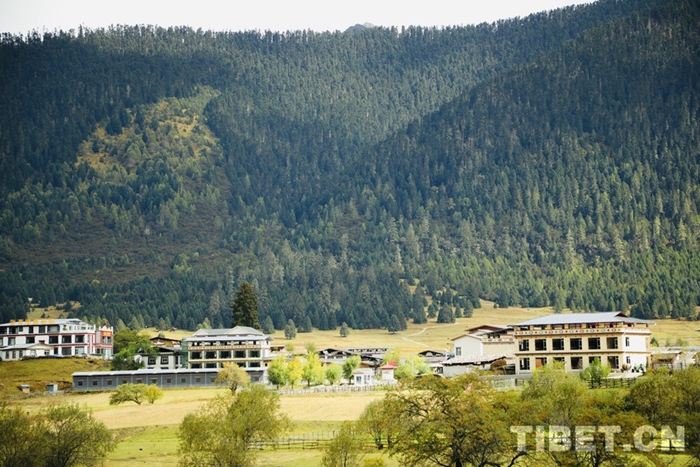 202410121728698207097_0 202410121728698207097_0