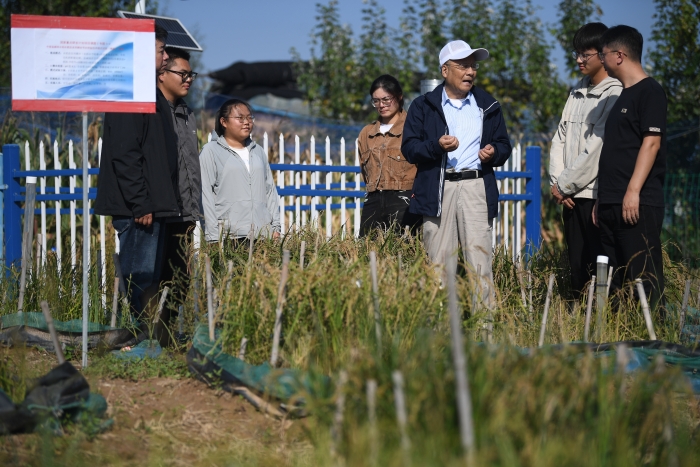 8106361_6efe2382-e632-45e6-9312-64b64ea617a6 8106361_6efe2382-e632-45e6-9312-64b64ea617a6