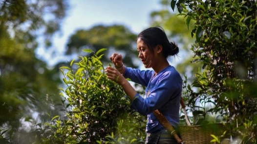 福建南平市总工会与云南普洱市总工会合作签约暨劳模工匠交流座谈活动举行