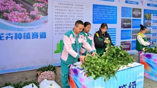 云南省花卉产业劳动竞赛启动