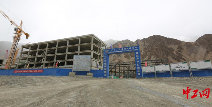 生命禁区1 生命禁区1