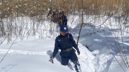 边境联防：万家团圆的守护者