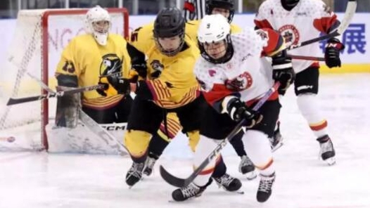 亚冬会冰壶赛场为何放在一所小学