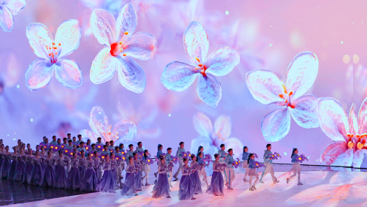 第九届亚洲冬季运动会在哈尔滨隆重开幕