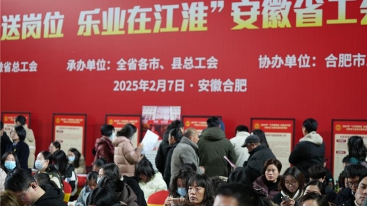 安徽三级工会联动同步举办工会就业援助招聘会
