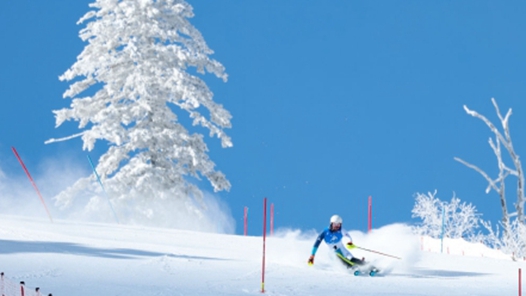 亚冬之星｜“冰雪追梦人”周媛