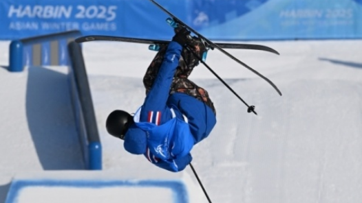 中国队自由式滑雪7金8银4铜收官