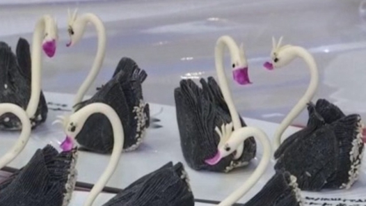 当亚冬会邂逅元宵节 包汤圆、猜灯谜共赴一场热闹之约