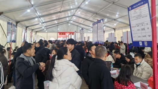 江西分宜县举行“春风行动”暨“就业援助月”系列招聘会