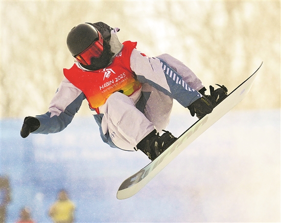 2869002_tpzz_1739459162546_b