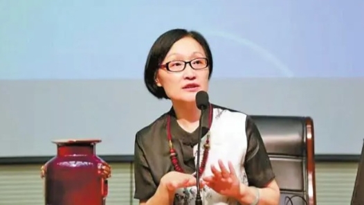 巴莫曲布嫫代表——传承非遗守护文化根脉