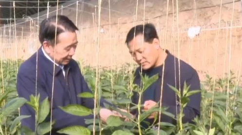 全国政协委员马忠明：在田间地头找提案