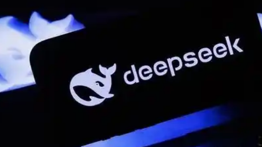 大会发言人：通过DeepSeek兴起可看到中国的创新性和包容性