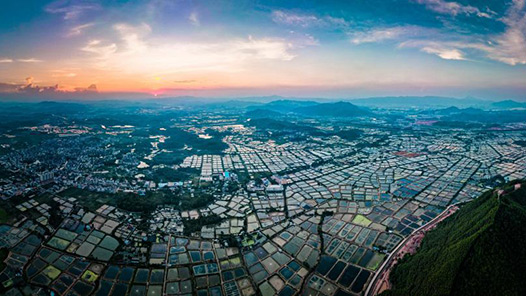 李强在政府工作报告中介绍，一年来统筹城乡区域协调发展，优化经济布局