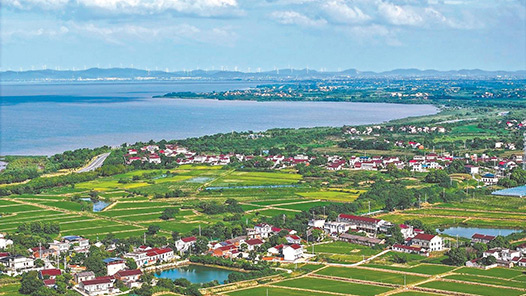 李强在政府工作报告中介绍，一年来持续加强生态环境保护，提升绿色低碳发展水平